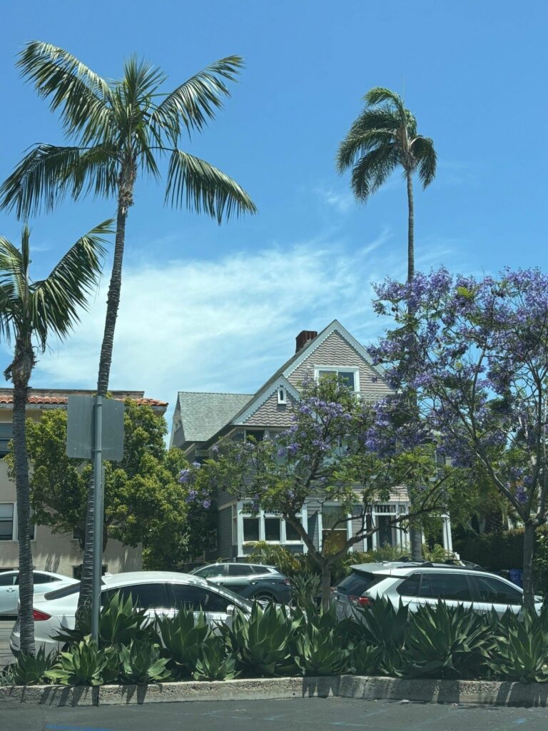 Мати житло у сонячній Каліфорнії – мрія багатьох людей світу. Фото з альбому Юлії Бушлової